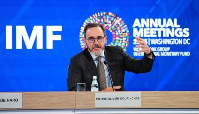 How big is ‘AI Bubble? IMF analysis reveals key insights