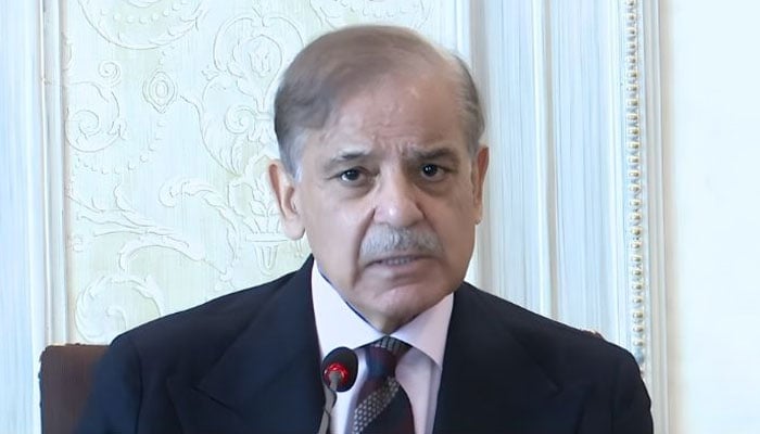 Prime Minister Shehbaz Sharif addresses federal cabinet meeting on October 16, 2025. — YouTube/Geo News/screengrab