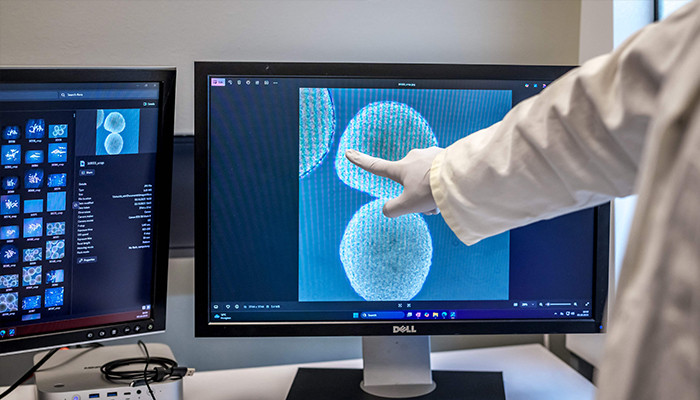 'Wetware': Scientists use human mini-brains to power computers
