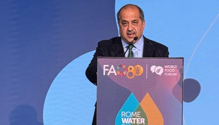 Dr Syed Tauqir Hussain Shah, Adviser to the Prime Minister, speaks during the Rome Water Dialogue. — APP