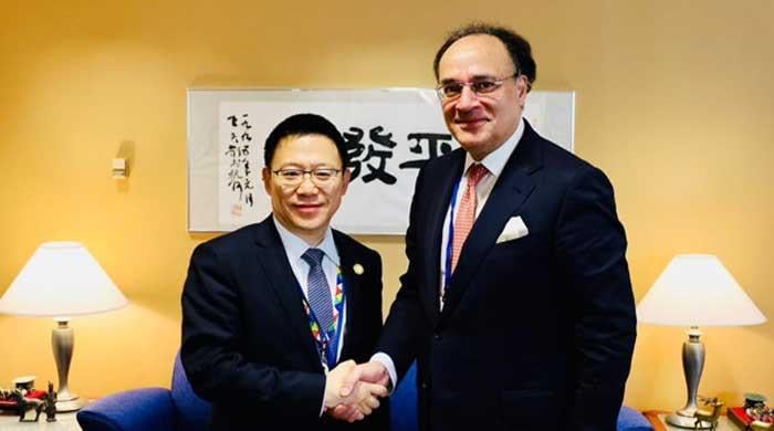 Pakistan seeks China's support for Brics' New Development Bank membership