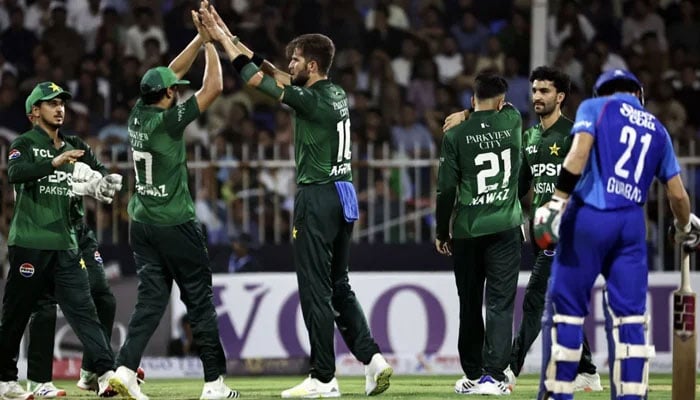 Pakistani players celebrate after taking a wicket during a tri-nation series match against Afghanistan in Sharjah on August 29, 2025. — AFP