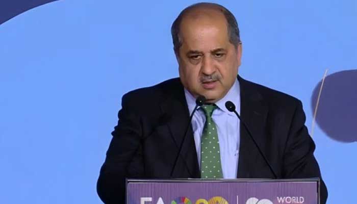 Adviser to the Prime Minister Dr Syed Tauqir Hussain Shah addresses FAOs Rome Water Dialogue. — APP/File