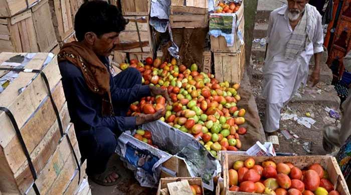 Why is the price of tomatoes soaring across country?