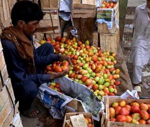 Why is the price of tomatoes soaring across country?