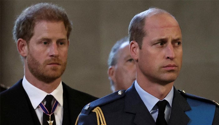 Prince William to bring down the axe on Harry next in ruthless royal shake-up
