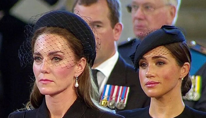 Kate Middletons favourite milliner set to make real impact for rescue dogs