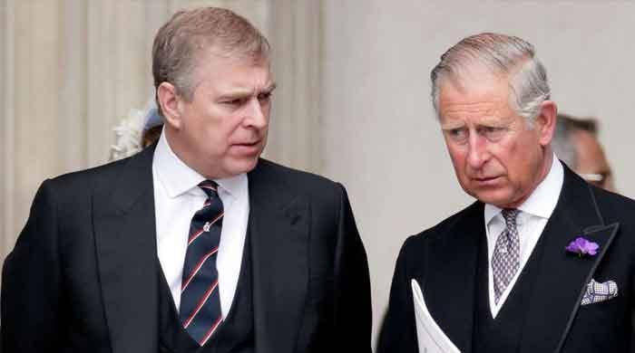 Prince Andrew's presence on royal family website questioned 