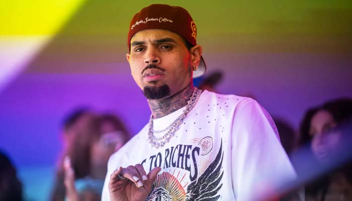 Chris Brown mentions attack his security dog at housekeeper