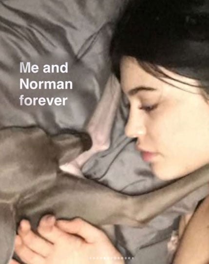 Kylie Jenner opens up about tragic loss in heartfelt message