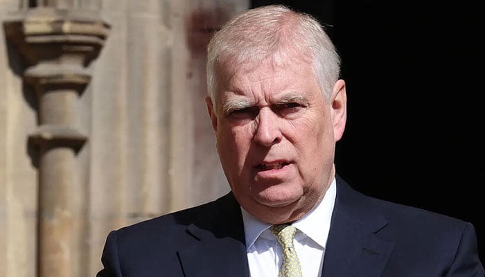 An ex UK official weighs in on everything Prince Andrew did during taxpayer tours