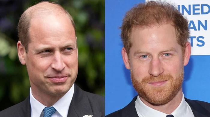 Prince William open to peace talks with Harry but under one condition 