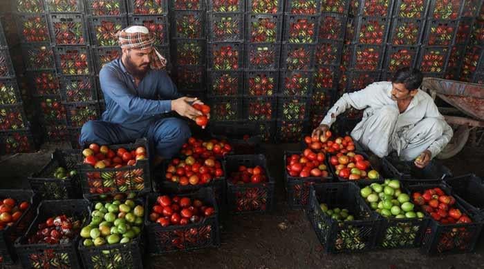 Pakistan-Afghanistan border closures push up prices of essentials such as tomatoes
