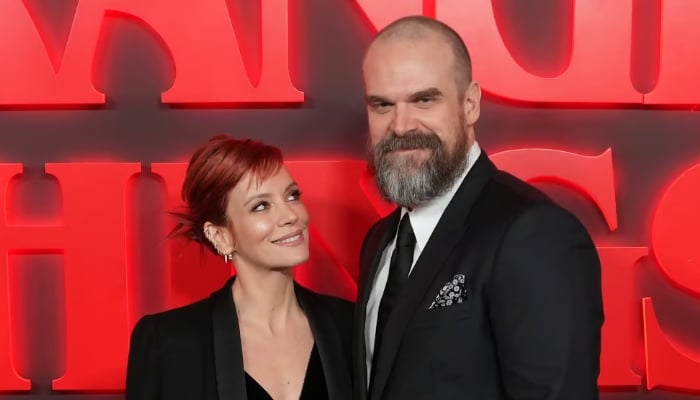 Photo: Lily Allen makes shock admission about David Harbour marriage in new record