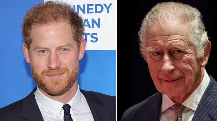 Prince Harry is on hold as King Charles has 'enough on his plate' Prince Harry is on hold as King Charles has 'enough on his plate'