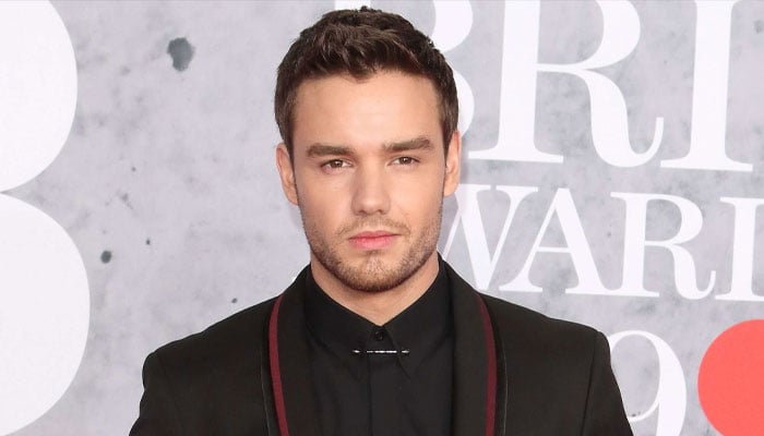Details about Liam Payne’s final songs revealed