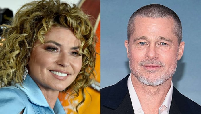 Shania Twain reveals if she has beef with Brad Pitt