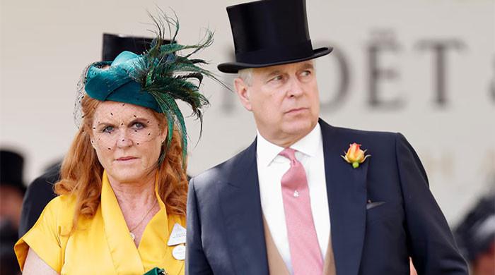 Sarah Ferguson, Prince Andrew finally decide 'to go their own separate ways'