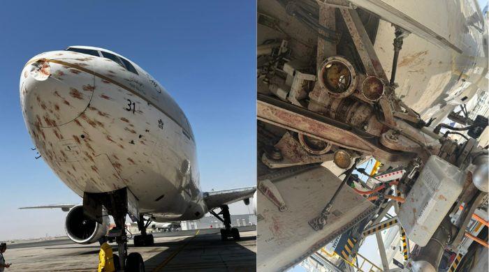 Saudia Airlines grounds Boeing 777 for repairs after Algiers bird strike incident