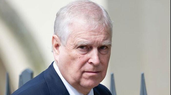 Prince Andrew finds unlikely support: ‘Don't extend public rage like this!'