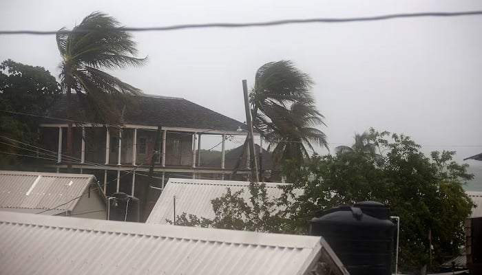 Palm trees sway in the wind as Hurricane Melissa approaches, in Port Royal, Jamaica, October 27, 2025. — Reuters
