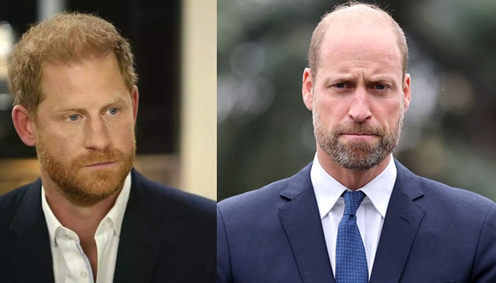 Prince William makes a move that threatens Prince Harry’s future