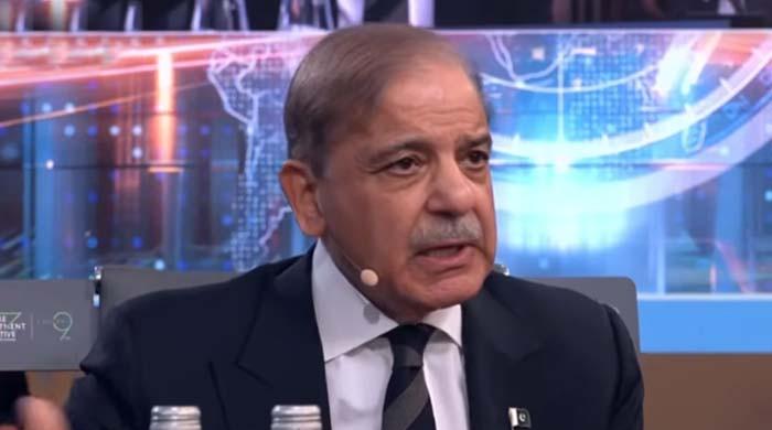 Pakistan suffered economic losses worth $130bn from climate disasters, says PM at FII9 conference