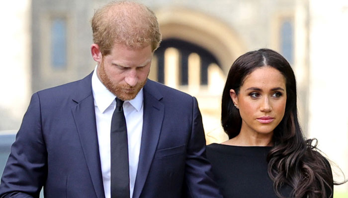 Prince Harry future plans unacceptable for Meghan Markle, says insider