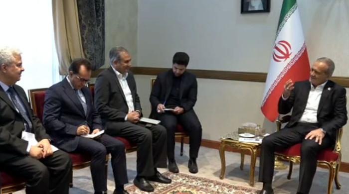 In meeting with Naqvi, Iranian president offers mediation between Pakistan, Afghanistan