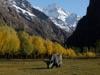 $250m funding to boost Pakistan and regional glacier-fed agriculture under ADB project