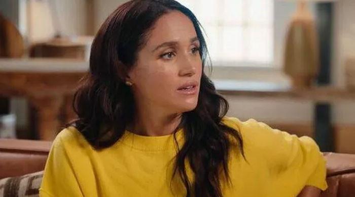 Meghan Markle gets blasted for extreme instability in her working life