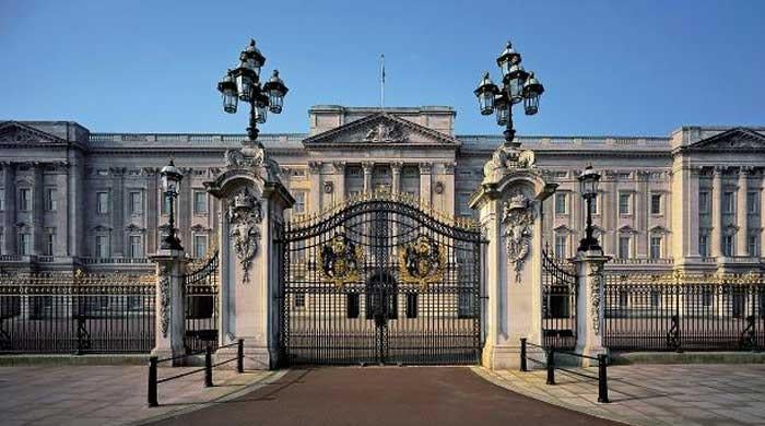 Buckingham Palace guard's smile crosses 18 million views 