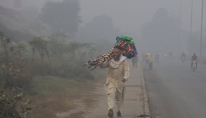 A man walks carrying a bunch of cleaning brushes on his shoulder while selling them along a road amid smog and air pollution in the morning, in Lahore on October 30, 2025. — Reuters