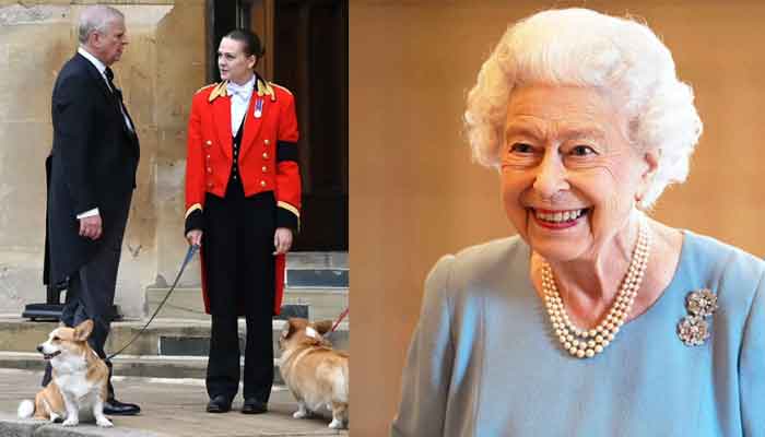 Andrew wont be deprived of Queens dogs, palace confirms