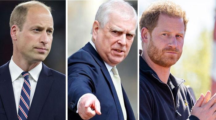 Andrew turns to Harry for ‘revenge' against Prince William