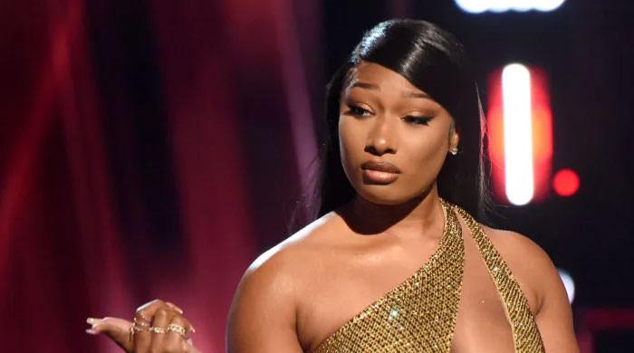 Megan Thee Stallion tickles ribs by recalling her case of mistaken identity
