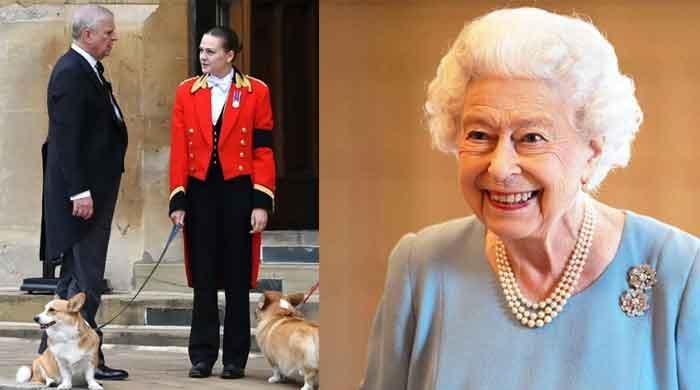 Andrew won't be deprived of Queen's dogs, palace confirms 