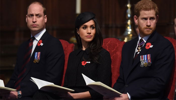 Prince William seized control of royal family: Harry, Meghan titles under scrutiny