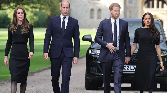 Meghan Markle, Prince Harry receive THIS advice about William, 'men in suits'