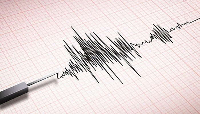 The representational image of a Richter scale measuring an earthquake. — Unsplash/File
