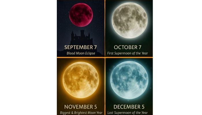 Skywatchers to witness 2025’s brightest ‘Supermoon’ this November