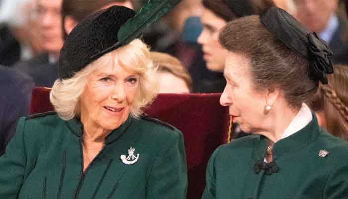Did Queen Camilla really steal Princess Annes boyfriend?
