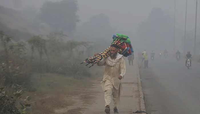 A man walks carrying a bunch of cleaning brushes on his shoulder while selling them along a road amid smog and air pollution in the morning, in Lahore on October 30, 2025. — Reuters