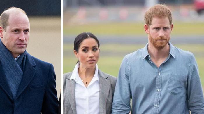 Prince William planning measures for Prince Harry, Meghan Markle's kids