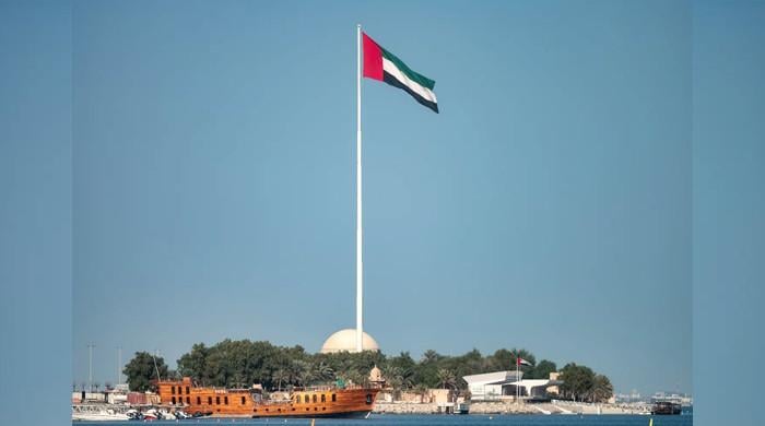 UAE Flag Day: Strict penalties for insulting National flag as residents prepare for celebrations