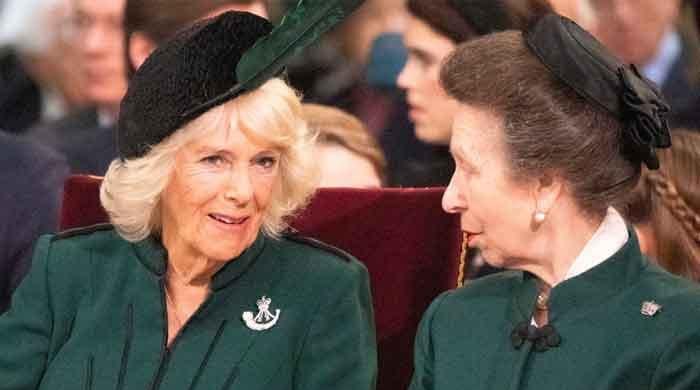 Did Queen Camilla really steal Princess Anne's boyfriend? 
