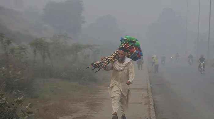 LHC expresses dissatisfaction over Punjab govt's anti-smog efforts