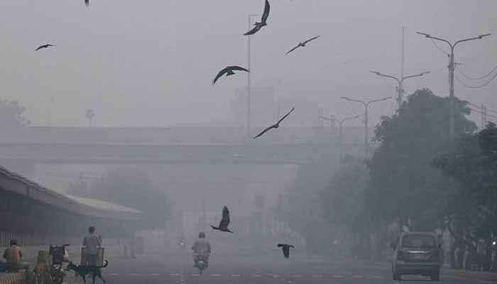 Birds fly past on a street amid dense smog in Lahore, Pakistan, on November 1, 2025. — AFP