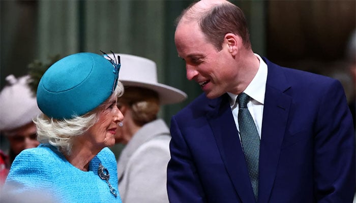Prince William, Queen Camillas role in decisive action against Andrew revealed