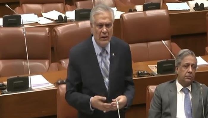 Deputy Prime Minister Senator Ishaq Dar addresses Senate session on November 4, 2025. — Screengrab via Geo News